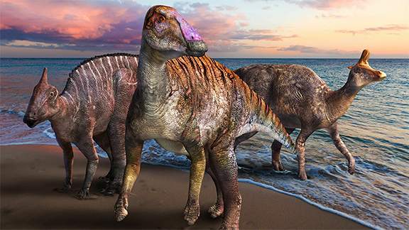 İngiltere'de Kazı Çalışmalarında Yeni Dinozor Türleri Bulundu