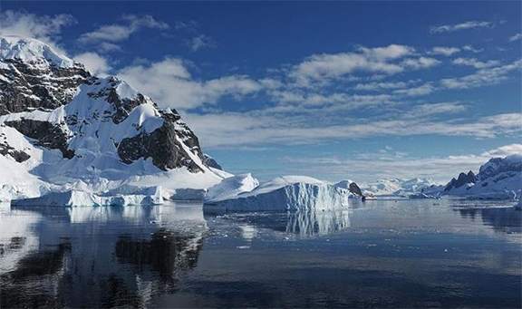 Bilim İnsanları Ortaya Çıkardı: Antartika 75 Milyon Yıl Önce Orman Yangınlarıyla Kavrulmuş