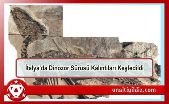 İtalya’da Dinozor Sürüsü Kalıntıları Keşfedildi