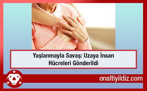 Yaşlanmayla Savaş: Uzaya İnsan Hücreleri Gönderildi