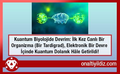 Kuantum Biyolojide Devrim: İlk Kez Canlı Bir Organizma (Bir Tardigrad), Elektronik Bir Devre İçinde Kuantum Dolanık Hâle Getiri