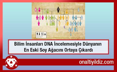 Bilim İnsanları DNA İncelemesiyle Dünyanın En Eski Soy Ağacını Ortaya Çıkardı