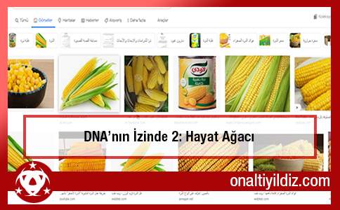 DNA'nın İzinde 2: Hayat Ağacı