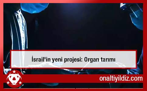 İsrail'in yeni projesi: Organ tarımı
