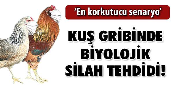 Kuş Gribi Biyolojik Silaha Dönüşebilir