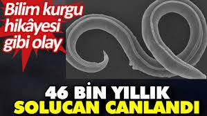 46 Bin Yıldır Uyuyorlardı