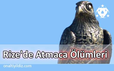 Rize'de Atmaca Ölümleri