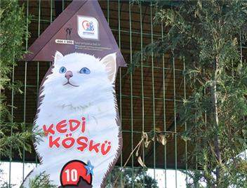 Sokak Kedilerine ''Isıtmalı Köşk''
