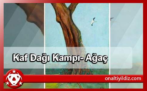 Kaf Dağı Kampı- Ağaç