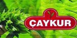 Çaykur'da Mevsimlik İşçi Olmak