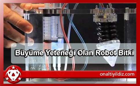 Büyüme Yeteneği Olan Robot Bitki