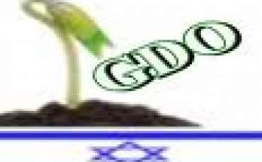 GDO'yu Zararsızmış Gibi Gösteriyorlar