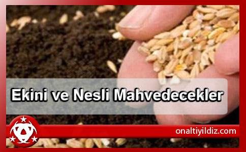 Ekini ve Nesli Mahvedecekler