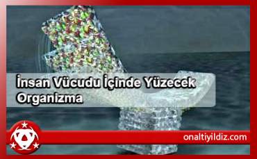 İnsan Vücudu İçinde Yüzecek Organizma