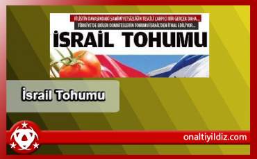 İsrail Tohumu