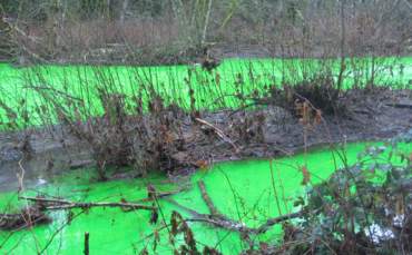 Nehir Neden Yeşil Aktı?