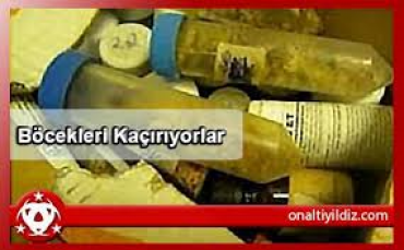 Böceklerimizi Niçin Kaçırılıyorlar?