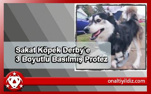 Sakat Köpek Derby’e 3 Boyutlu Basılmış Protez