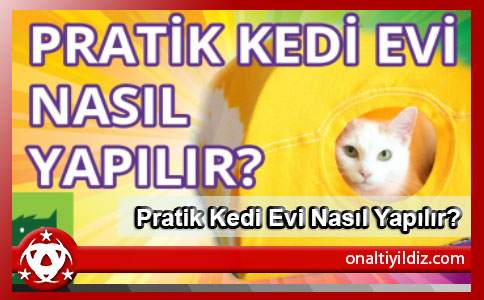 Pratik Kedi Evi Nasıl Yapılır?