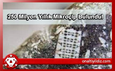 250 Milyon Yıllık Mikroçip Bulundu!