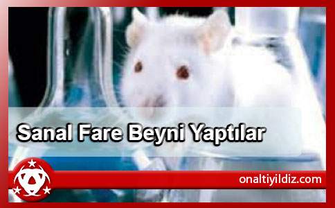 Sanal Fare Beyni Yaptılar