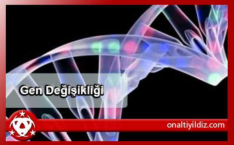 Gen Değişikliği