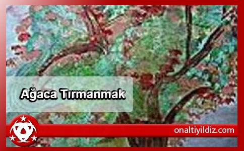 Ağaca Tırmanmak