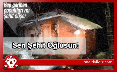 Sen Şehit Oğlusun!